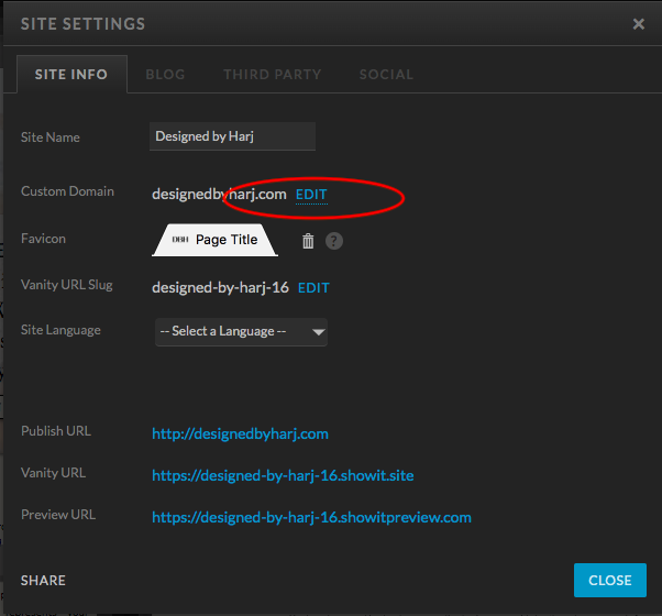 Screenshot of custom domain settings on Showit